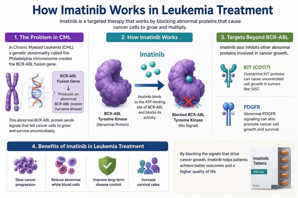 Imatinib mechanism infographic showing how it blocks BCR-ABL protein in leukemia treatment.