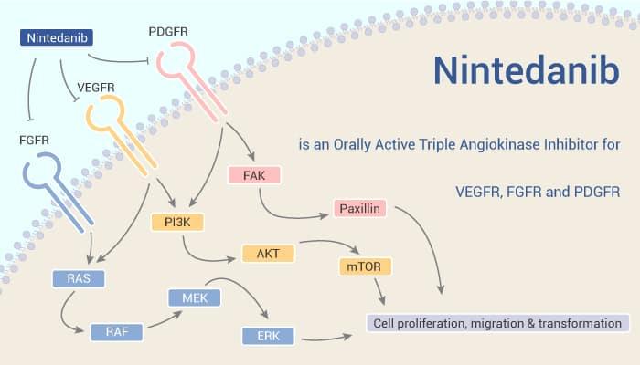 Nintedanib mechanism of action and antifibrotic pharmaceutical manufacturing infographic showing FGF, PDGF, and VEGF pathway inhibition in pulmonary fibrosis treatment